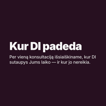 DI konsultacijos Vilnius AI Merge Studio ltd nuotrauka 5