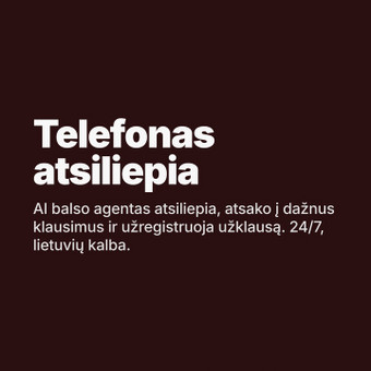 Balso agentai (AI telefonu) Vilnius AI Merge Studio ltd nuotrauka 11