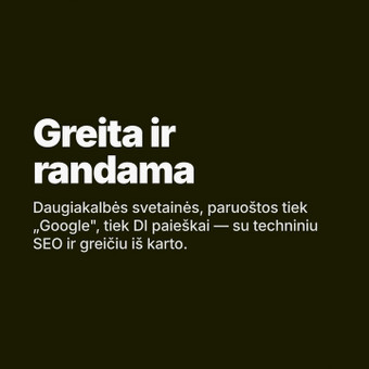 Svetainių kūrimas (greitos, AI/SEO paruoštos) Vilnius AI Merge Studio ltd nuotrauka 8