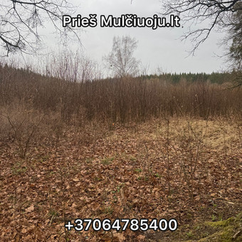 Krumu,Kelmu Frezavimas Kaunas MULCIUOJU.LT nuotrauka 2
