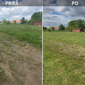 Žolės pjovimas traktoriuku, trimeriu, savaeigia žoliapjove Kaunas Artūras ,,Medžių pjovimas ir genėjimas" nuotrauka 6
