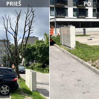 Avarinių medžių pjovimas Kaunas Saugus Pjūvis Arboristai nuotrauka 1