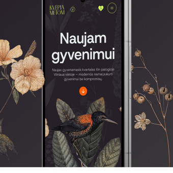 Svetainių dizainas (web design) Vilnius Lukas nuotrauka 2