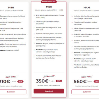 Google Ads reklama Vilnius MadOctopus | Dovydas nuotrauka 1