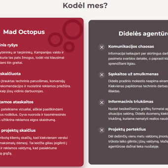 Google Ads reklama Vilnius MadOctopus | Dovydas nuotrauka 1
