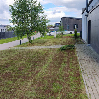 Vejos atsėjimas Vilnius Edvinas nuotrauka 5