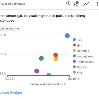 Google Ads reklama Vilnius Darius Lukošius nuotrauka 1