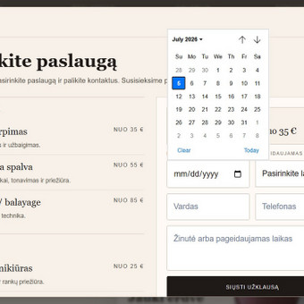 WordPress svetainių kūrimas Vilnius Verslo Svetainės nuotrauka 2