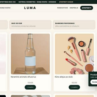 Bazinis SEO sutvarkymas Vilnius Verslo Svetainės nuotrauka 9