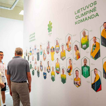 Lauko reklamos kūrimas Kaunas Raminta Ratkevičienė nuotrauka 7