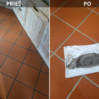 Garų valytuvo THERMOSTAR nuoma Vilnius UAB Fors fortuna nuotrauka 1