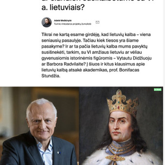 Straipsnių rašymas Vilnius Adelė Meškinytė nuotrauka 1