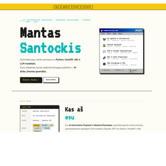 Interneto svetainių priežiūra Kaunas Mantas Santockis nuotrauka 4