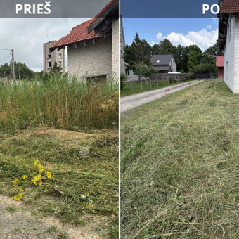 Apleistų sklypų tvarkymas Klaipėdos rajonas Vytautas Giniotas nuotrauka 2