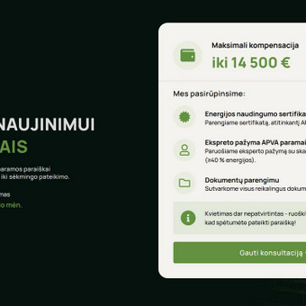 Svetainių dizainas (web design) Kaunas Armandas Buda nuotrauka 1
