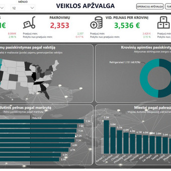 Power BI vizualizavimas ir procesų automatizavimas Klaipėda Tadas Paulikas nuotrauka 3