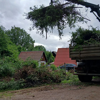 Apleistų sklypų tvarkymas Vilnius Tvarkau Aplinką nuotrauka 3