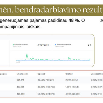 Naujienlaiškių kūrimas ir sklaida Vilnius Rasita Kunikauskaitė nuotrauka 1