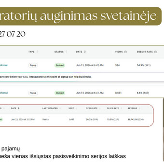 Naujienlaiškių prenumeratorių bazės didinimas Vilnius Rasita Kunikauskaitė nuotrauka 2