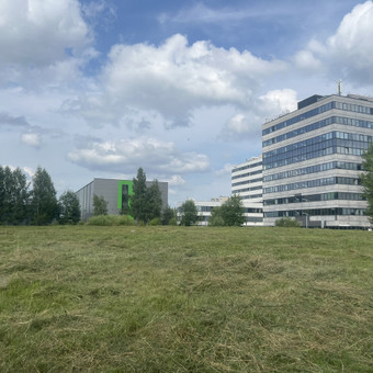Žolės pjovimas Vilnius Žolės pjovimas nuotrauka 1