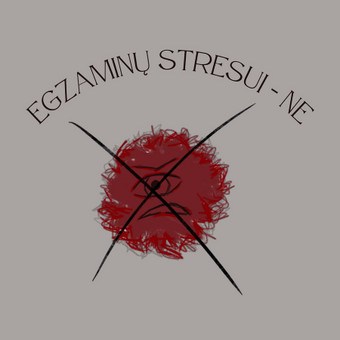 Mokinių ruošimas anglų kalbos egzaminams Panevėžys Eglė Kavaliauskaitė nuotrauka 2
