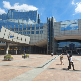 Šnekamosios anglų kalbos kursai Panevėžys Eglė Kavaliauskaitė nuotrauka 5