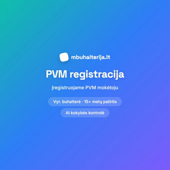 PVM registracija Kaunas mbuhalterija.lt nuotrauka 9