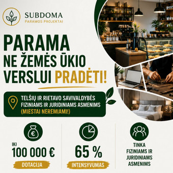 VVG Projektai Vilnius UAB Subdoma nuotrauka 5