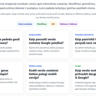 Bazinis SEO sutvarkymas Vilnius Verslo Svetainės nuotrauka 9