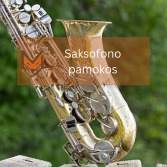 Saksofono pamokos Vilnius Muzikinio ugdymo studija „MUZIKALI LAPĖ“ nuotrauka 12