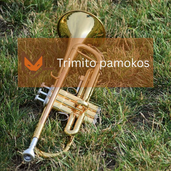 Trimito pamokos Vilnius Muzikinio ugdymo studija „MUZIKALI LAPĖ“ nuotrauka 11