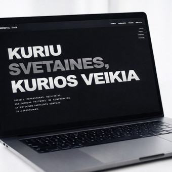 Svetainių kūrimas Šilutės rajonas Edvinas nuotrauka 4