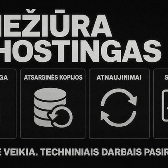 Svetainių talpinimas (Hosting) Šilutės rajonas Edvinas nuotrauka 3
