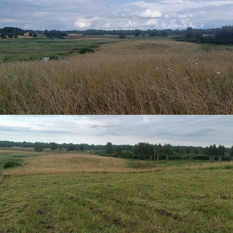 Pievų šienavimas Vilnius Jaroslav nuotrauka 2
