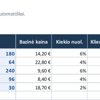 Darbo su „Microsoft Office Excel“ programa konsultacijos Kaunas Matas nuotrauka 1