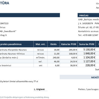 Excel / Sheets šablonai (skaičiuoklės, sekikliai) Kaunas Matas nuotrauka 9