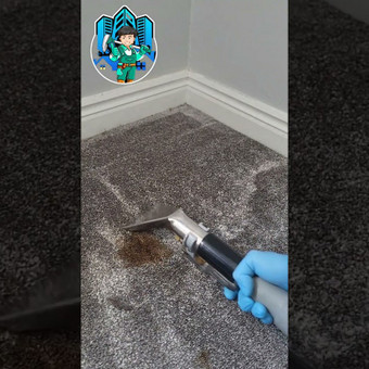Kilimų valymas Šiauliai Happy Clean Remigijus Gudeikis nuotrauka 11