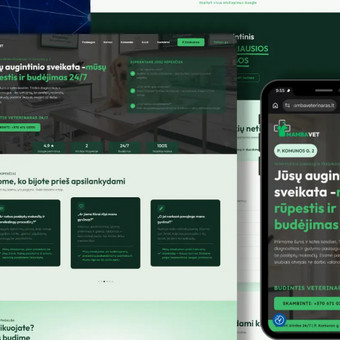 Svetainių kūrimas Klaipėda MB "webdnr projektai" nuotrauka 2