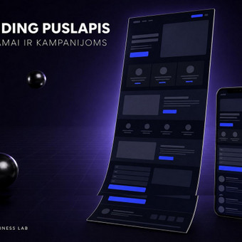 Vieno puslapio svetainė (landing page) Vilnius Omni Business Lab nuotrauka 10