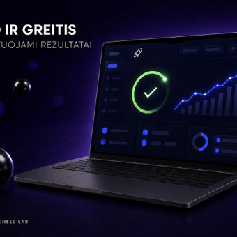 SEO ir greičio optimizavimas Vilnius Omni Business Lab nuotrauka 9