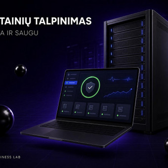 Svetainių talpinimas (Hosting) Vilnius Omni Business Lab nuotrauka 3
