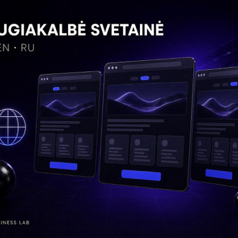 Daugiakalbė svetainė (LT/EN/RU) Vilnius Omni Business Lab nuotrauka 14
