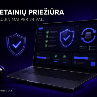 Mėnesinė svetainės priežiūra Vilnius Omni Business Lab nuotrauka 17