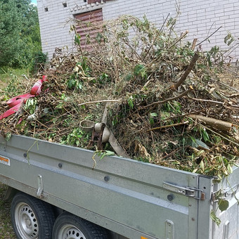 Šakų išvežimas Vilnius Jaroslav nuotrauka 4