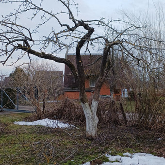 Apleistų sklypų tvarkymas Kaunas Rytis nuotrauka 5