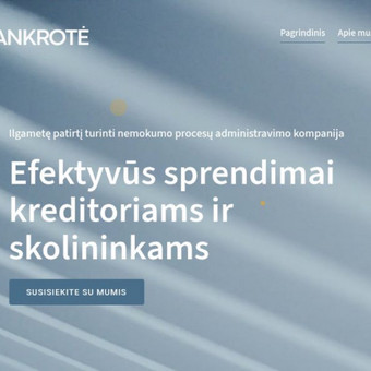 Interneto svetainių priežiūra Vilnius Kitoki nuotrauka 7