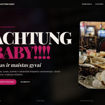 Landing page kūrimas Vilnius Kitoki nuotrauka 8