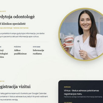 Verslo svetainių kūrimas Vilnius Kitoki nuotrauka 9