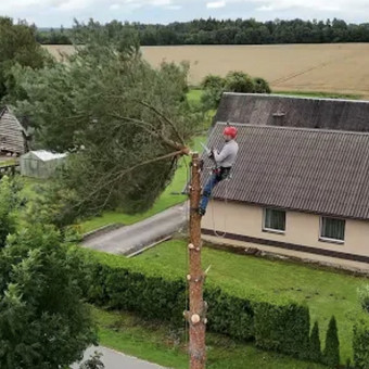 Avarinių medžių pjovimas Kaunas Mantas K. nuotrauka 1