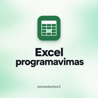 Microsoft Office Excel programavimas Šiauliai Ponas Obuolys, MB nuotrauka 1